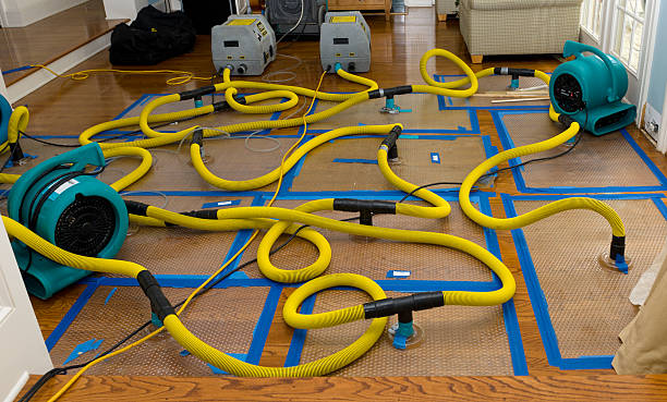 Professional Sewage Cleanup technician working in Oakhurst, NJ